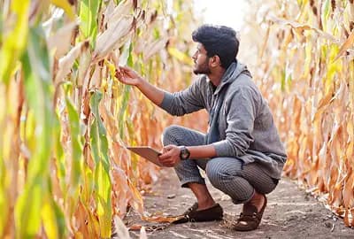 Agriculture & Sustainability